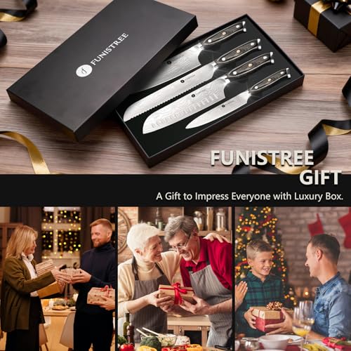 4 Pieces Professional Kitchen Knife Set (4 Count)