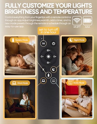 Floor Lamp Glass Display Shelf with Remote