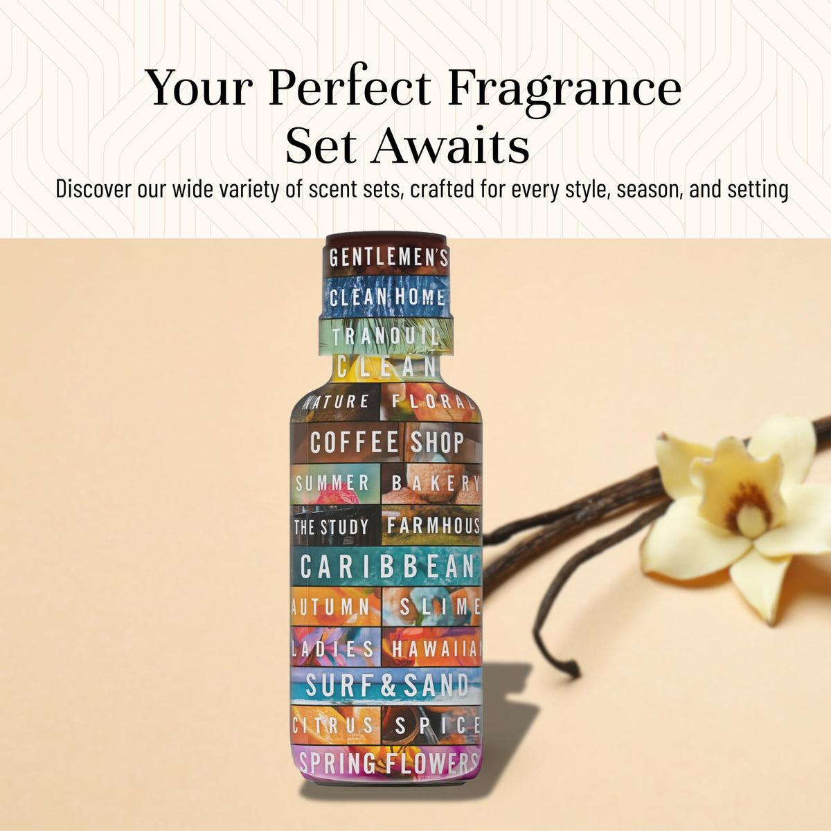 P&J Fragrance Oil (3.38 Fl Oz)