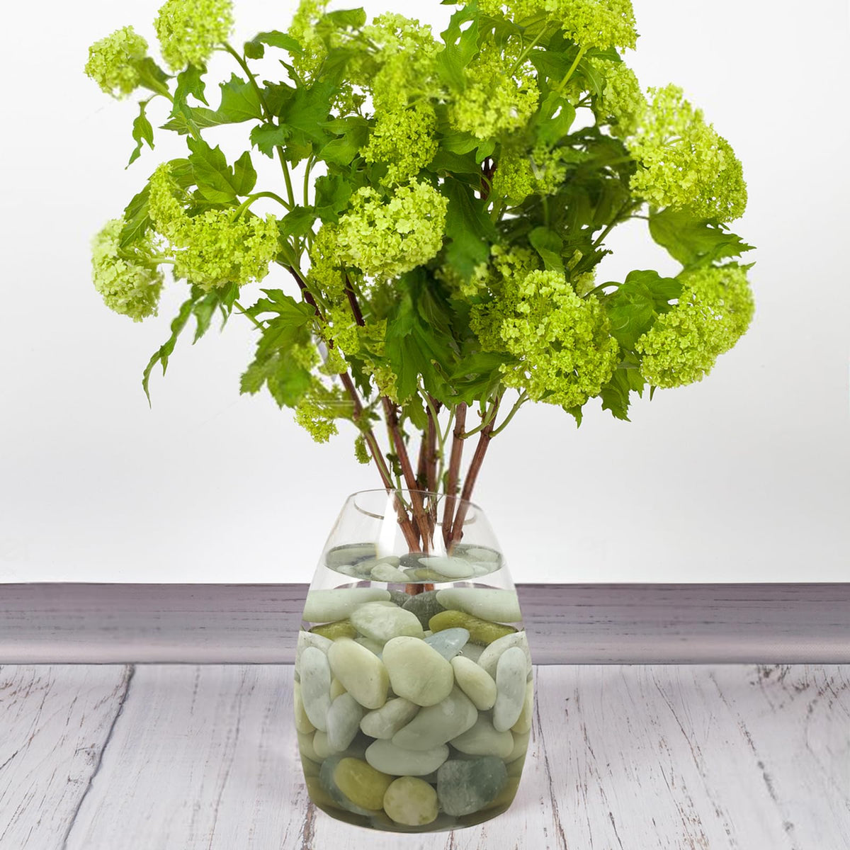 5 lbs Green River Rocks for Plants