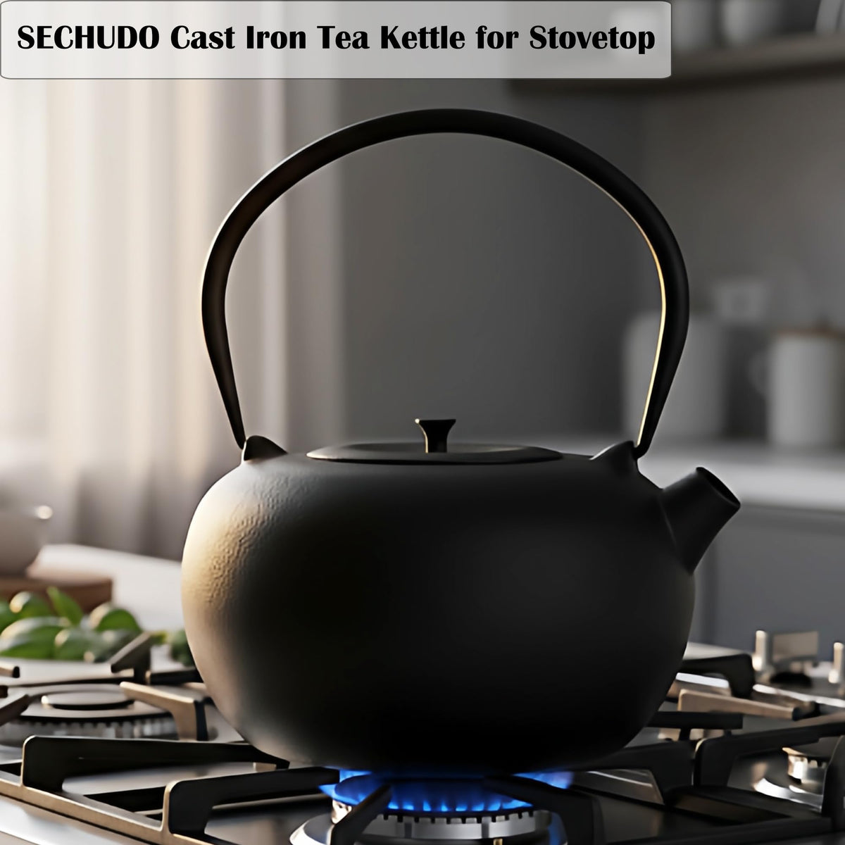 67.6oz Large Cast Iron Teapot and Cups Set