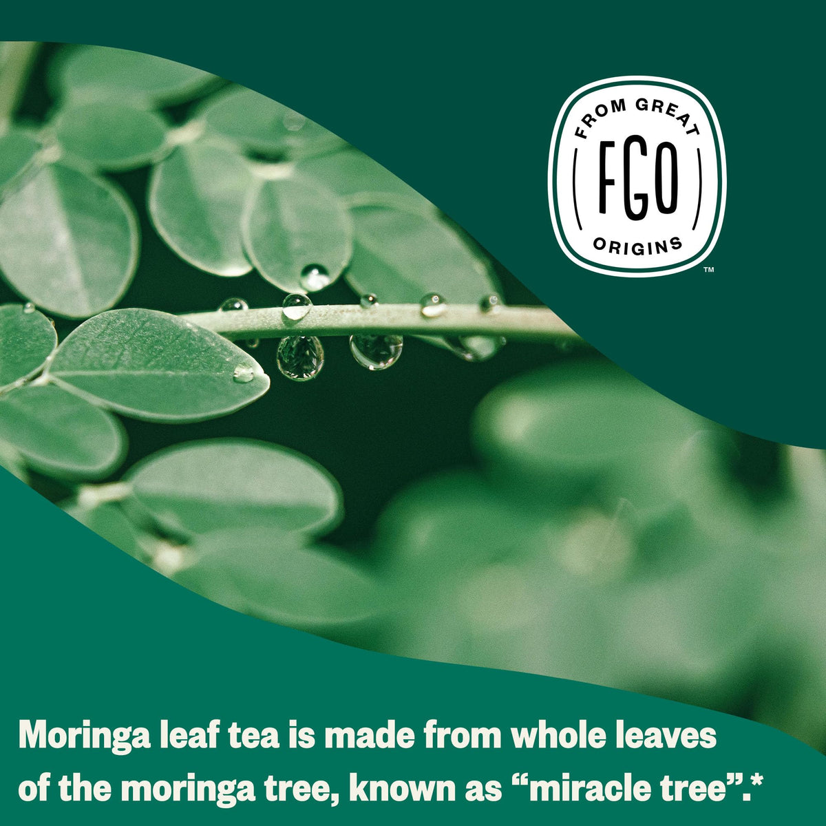 Organic Moringa Mint Tea (20 Count)