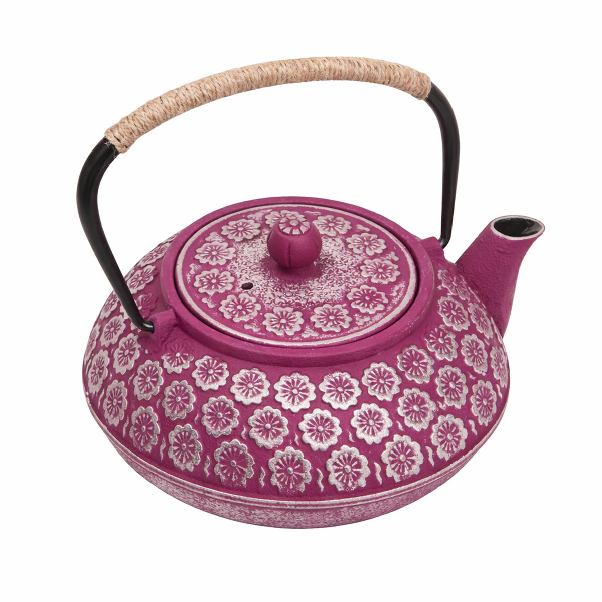 Cast Iron Tea Kettle with Infuser
