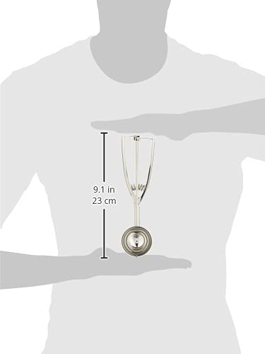 stainless steel scoop