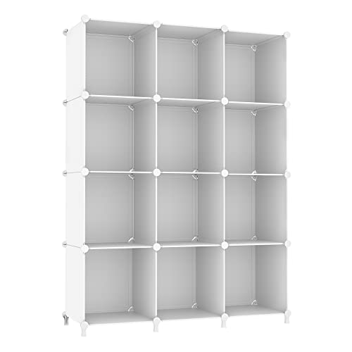 12 Cube Storage Organizer