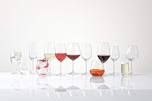 Tritan Crystal Glass Forte Stemware Collection Wine (6 Count)