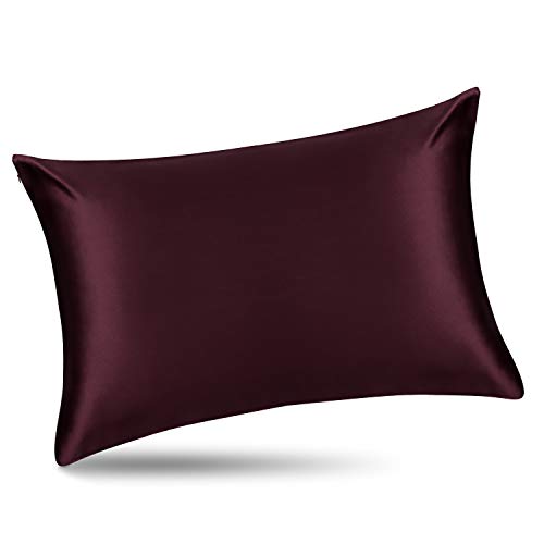 Queen Silk Pillowcase and Random Color Silk Scrunchie Gift Set ALASKA BEAR Hypoallergenic Pillow Cases for Acne Prolong Hairstyles