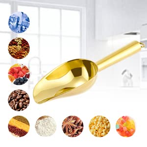 6 Ounce Ice Scoop Set of 2 (2 Count)
