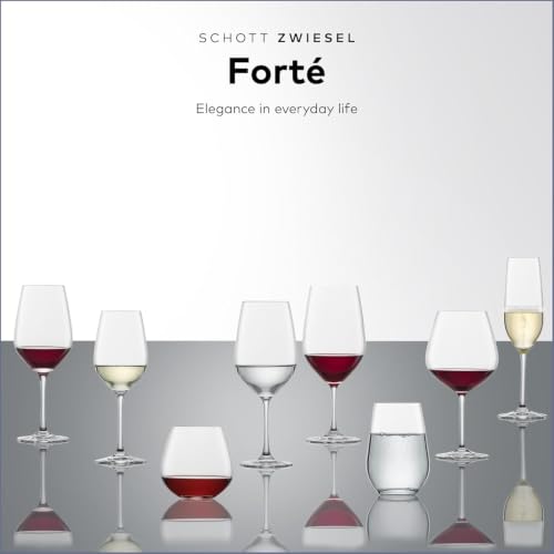 Forté All Purpose Glass 15 Ounce (6 Count)