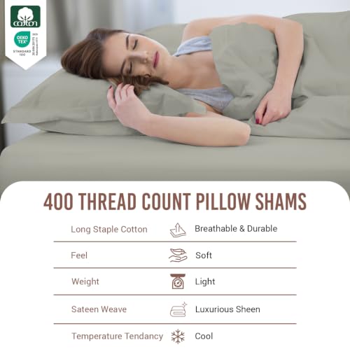 Pure 100% Cotton Pillow Shams Queen Size Set of 2 Silver (2 Count)