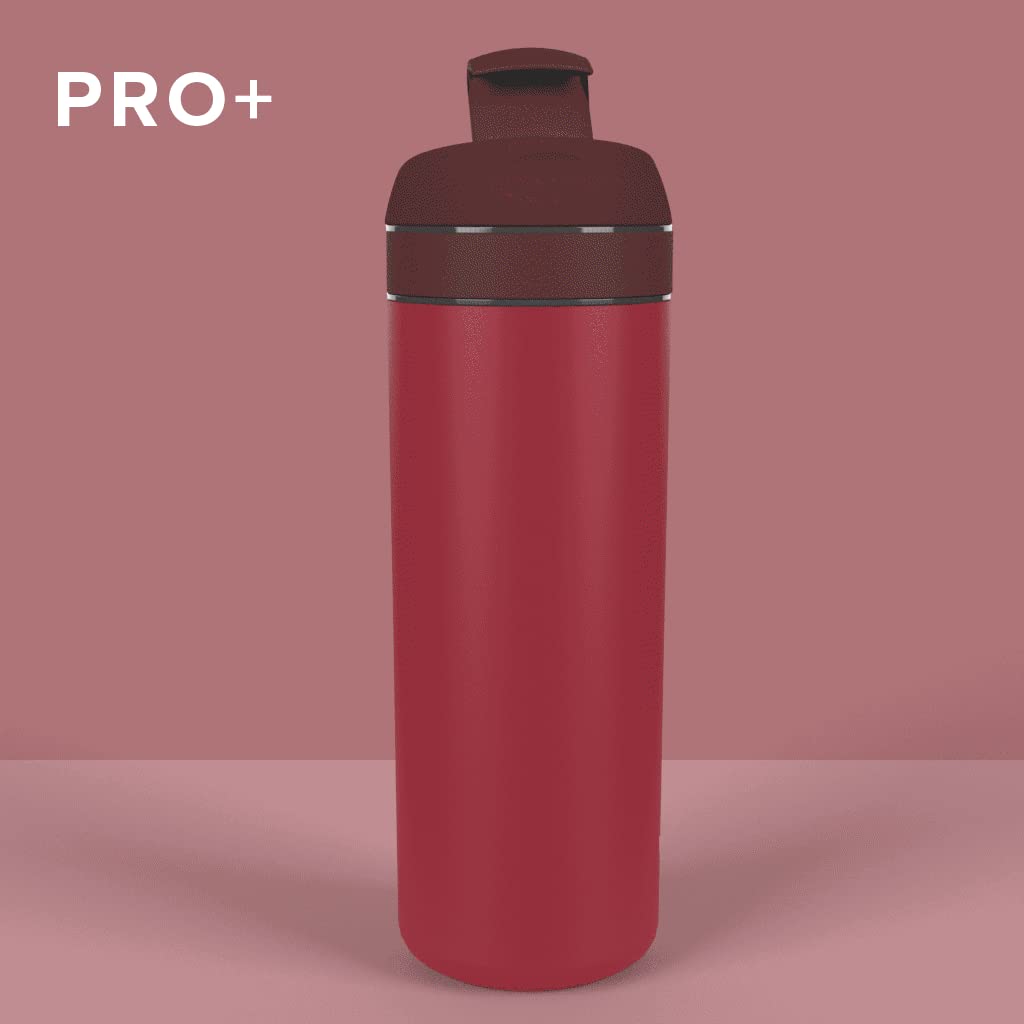 VIVA Recharge Tea Infuser Bottle