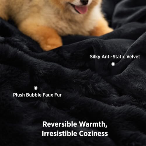 GentleSoft Fluffy Fuzzy Twin Blanket