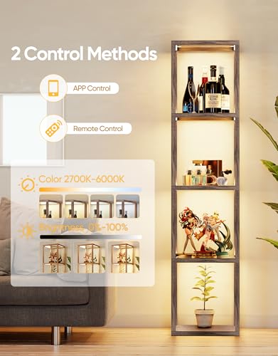 Floor Lamp Glass Display Shelf with Remote