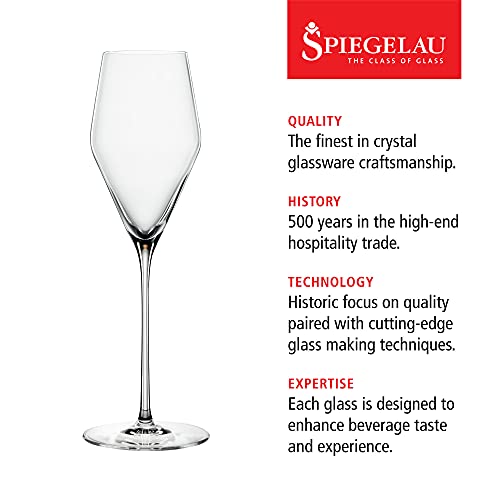 Definition Champagne Flutes (2 Count)