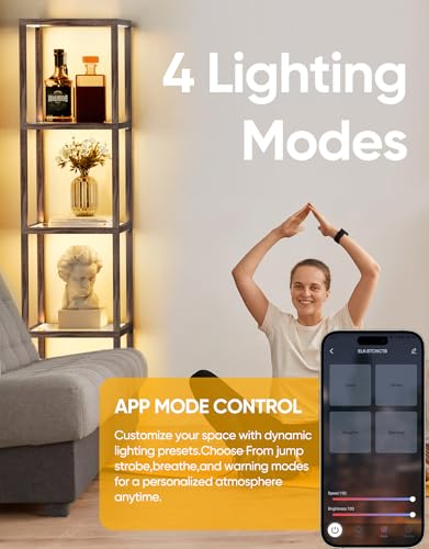 Floor Lamp Glass Display Shelf with Remote