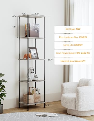Display Shelf with RGBW Light