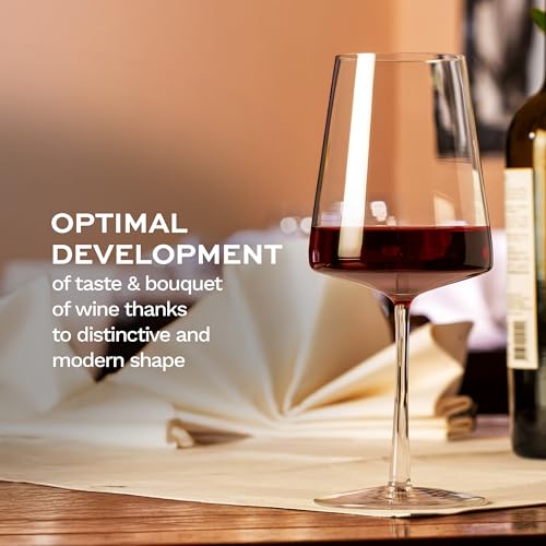 Red Wine Glasses Power Set of 4 (4 Count)