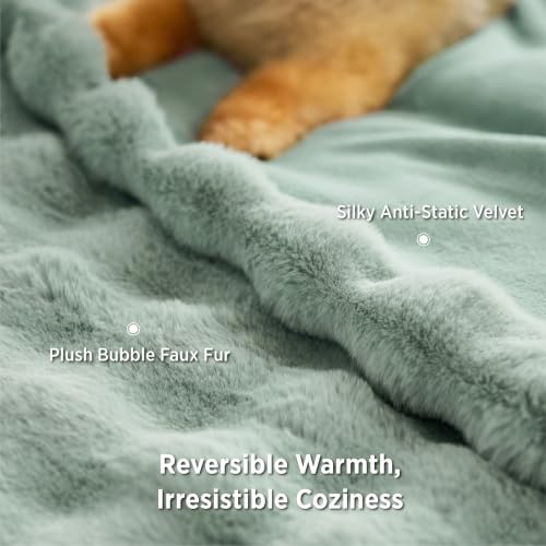 GentleSoft Fluffy Fuzzy Twin Blanket