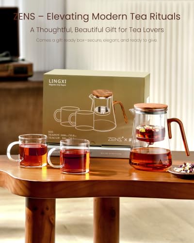 Magnetic Glass Teapot with Infuser and 2 Cups for Loose Tea