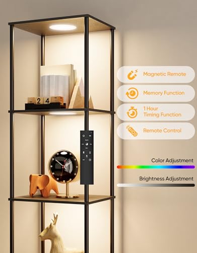 Display Shelf with RGBW Light