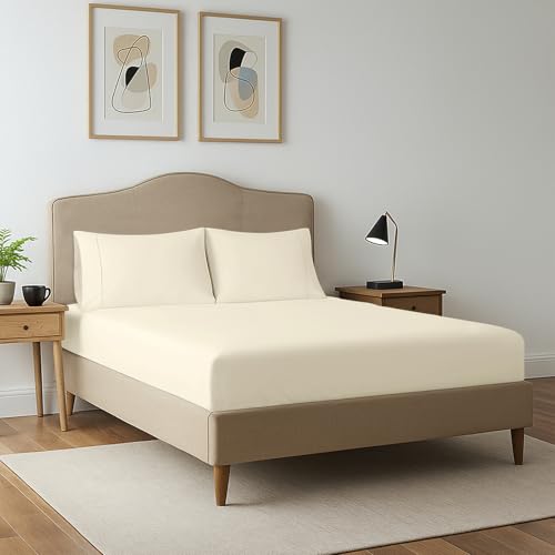 Cotton Queen Fitted Sheet + 2 Pillowcases Set 400TC New Ivory