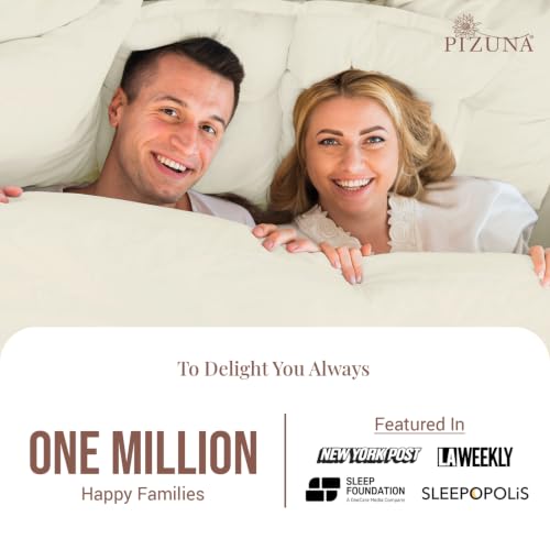 Pure 100% Cotton Pillow Shams King Size Set of 2 Ivory (2 Count)