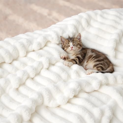 Soft Cozy Queen Size Fleece Blanket for Bed Off White 90"x90"