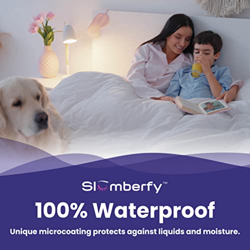 Queen Waterproof Bamboo Bed Bug Mattress Encasement