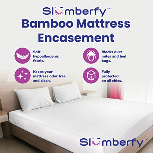 Queen Waterproof Bamboo Bed Bug Mattress Encasement