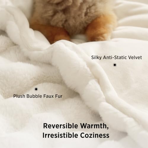 GentleSoft Fluffy Fuzzy Twin Blanket