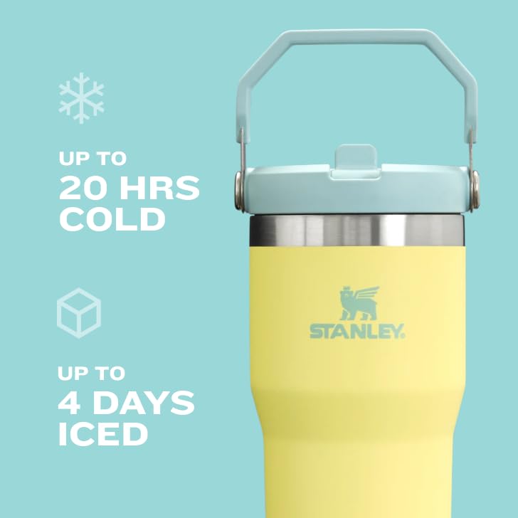 IceFlow Flip Straw Tumbler with Handle 30 oz (4 Count)