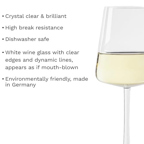 White Wine Glasses Power Set of 6 (6 Count)