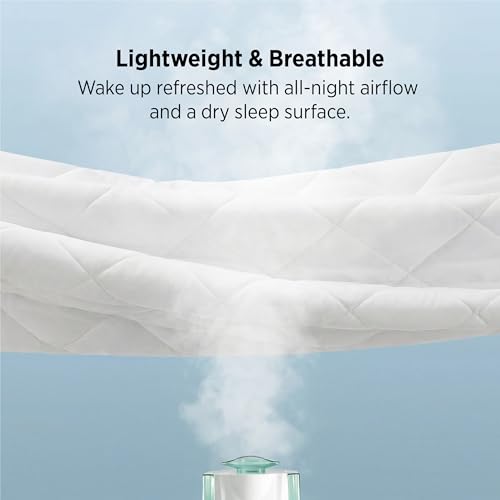 King Mattress Protector