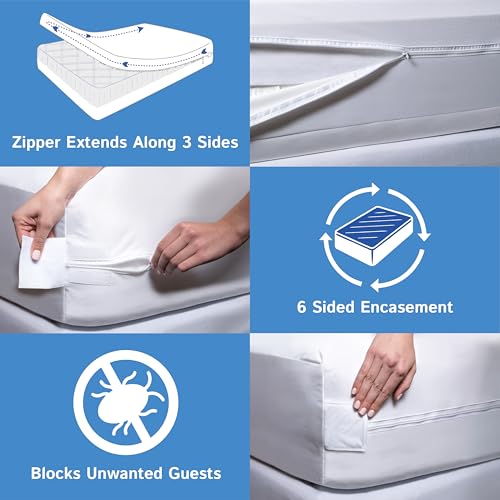 Sleeper Sofa Queen Mattress Protector 60" Wx72 Lx5 D