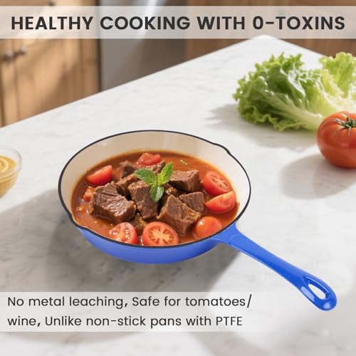Enameled Cast Iron Skillet