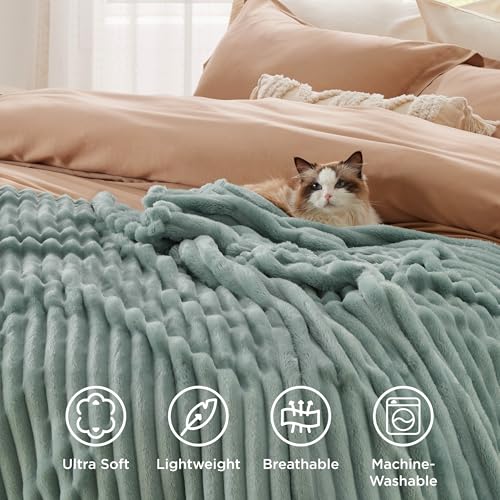 Soft Twin Blanket for Bed Decor Gifts Sage Green 60"x80"