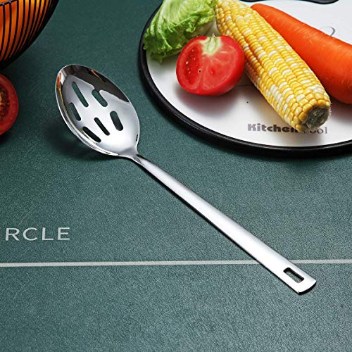 Stainless Steel Slotted and Basting Spoon