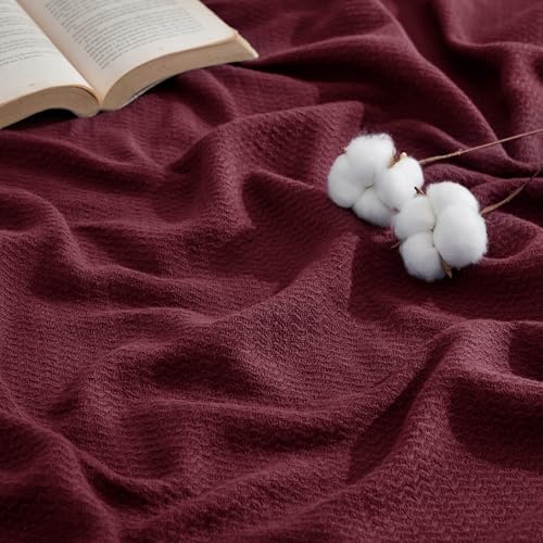 GentleSoft 100% Cotton Blanket King Size for Bed
