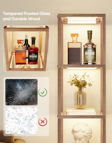 Floor Lamp Glass Display Shelf with Remote