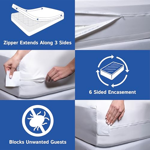 Split King Mattress Encasement 39" x 80" (2 Count)