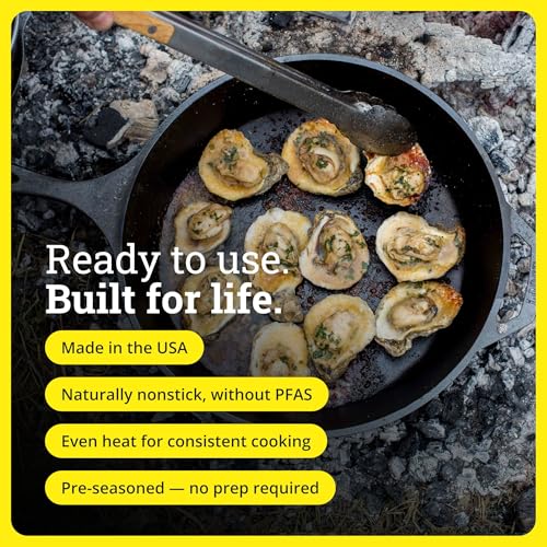 Pre Seasoned Cast Iron Skillet
