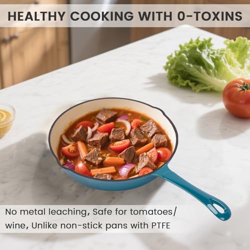 Enameled Cast Iron Skillet