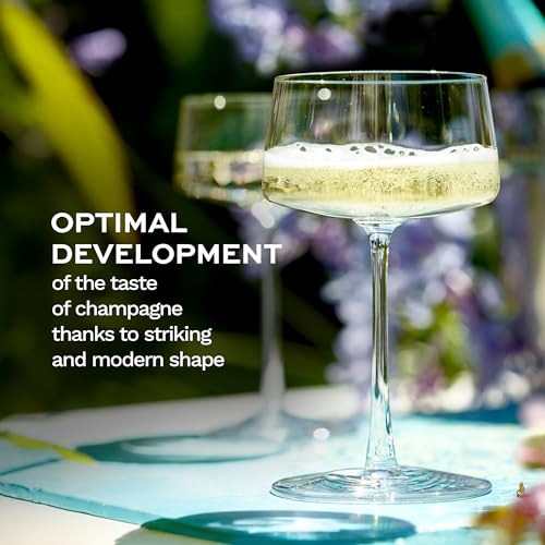 Champagne Coupes Power Set of 2 (2 Count)