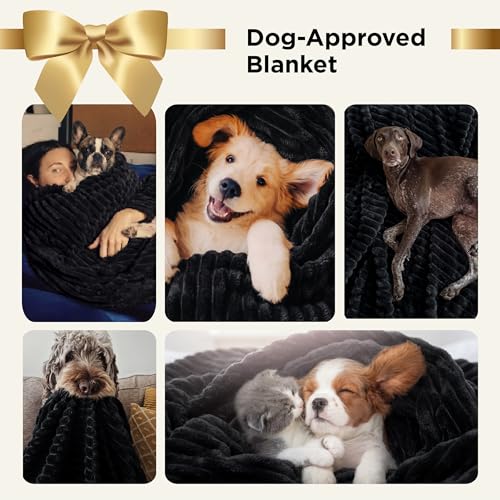 Soft Twin Blanket for Bed Decor Gifts Black 60"x80"