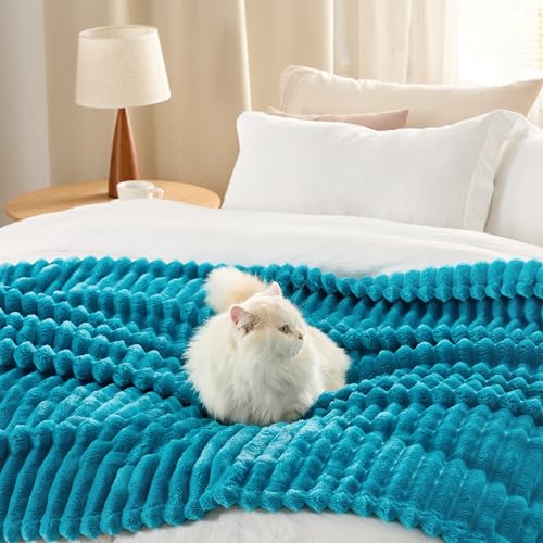 Soft Twin XL Blanket for Bed Dorm Teal 66"x90"