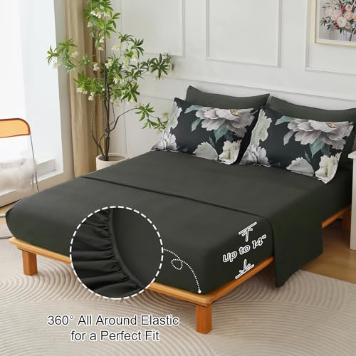Black Queen Comforter Set
