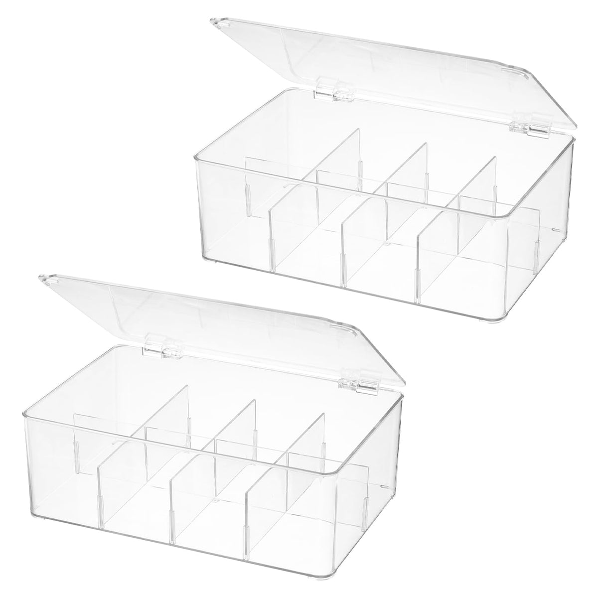 Divided Clear Plastic Organizer Bin with Hinge Lid