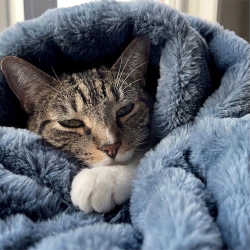 GentleSoft Fluffy Fuzzy Twin Blanket