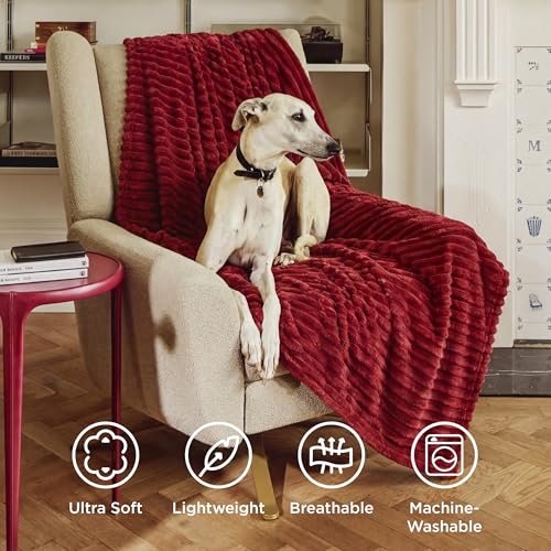Soft Red Throw Blanket for Couch Decor Gifts 50"x60"