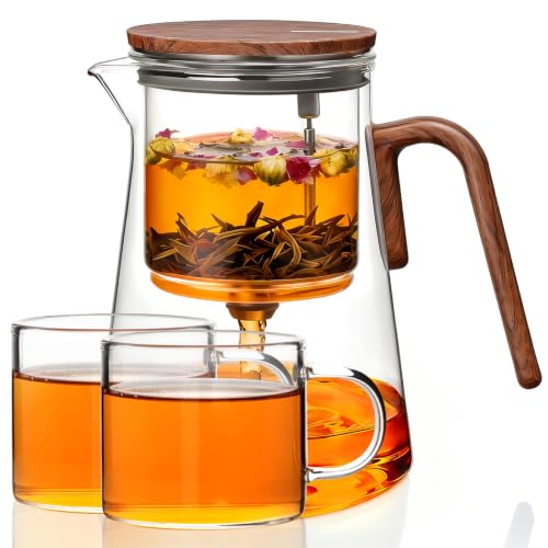 Magnetic Glass Teapot with Infuser and 2 Cups for Loose Tea